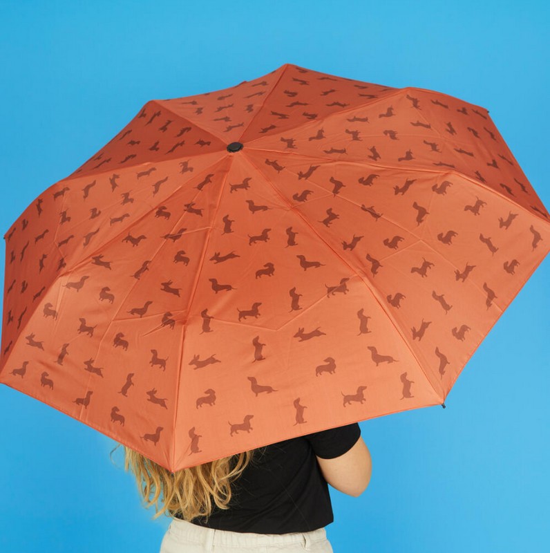 Ombrello pieghevole con astuccio decorato a tema bassotto